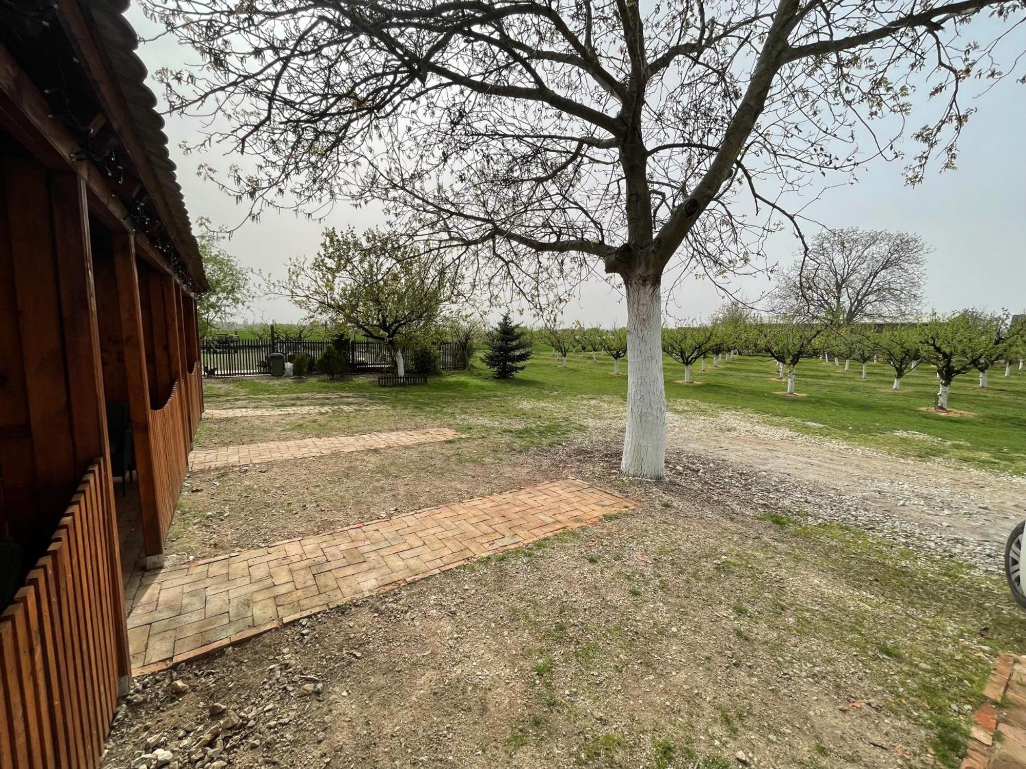 Salas Isailovi Sremska Mitrovica Bagian luar foto